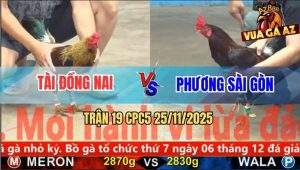 Trận 19 CPC5 25/11/2025 - Chuối Chân Xanh Anh Tài Đâm Cựa Như Sấm Đánh