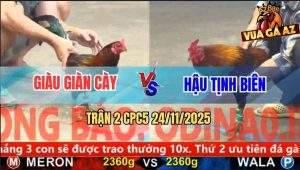 Trận 2 CPC5 24/11/2025 - Điều Cọp Anh Hậu Đánh Nhanh Thắng Gọn