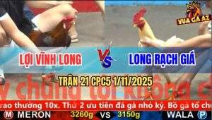 Trận 21 CPC5 1/11/2025 - Anh Lợi Vĩnh Long Và Anh Long Rạch Giá