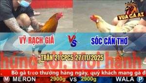 Trận 21 CPC5 27/11/2025 - Gà Bướm Siết Cây Lưng Điều Trào Máu Họng