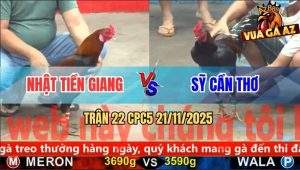 Trận 22 CPC5 21/11/2025 - Điều Sút Cây Cần Kết Liễu Gà Que Đuôi Lao