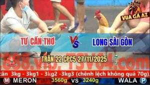 Trận 22 CPC5 27/11/2025 - Gà Úa Anh Long Kém 3 Chấm Đá Chuối Chín Rụng