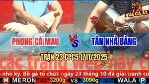 Trận 23 CPC5 1/11/2025 - Anh Phong Cà Mau Và Anh Tân Nhà Bàng
