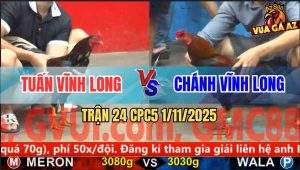 Trận 24 CPC5 1/11/2025 - Anh Tuấn Vĩnh Long Và Anh Chánh Vĩnh Long