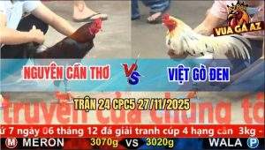 Trận 24 CPC5 27/11/2025 - Gà Bướm Anh Việt Đâm Điều Sụm Tỳ Rụng Nụ