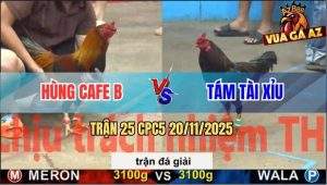Trận 25 CPC5 20/11/2025 - Anh Hùng Cafe B Gặp Anh Tám Tài Xỉu