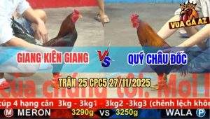 Trận 25 CPC5 27/11/2025 - Điều Xanh Bay Qua Bay Lại Điều Đỏ Rới Tự Do