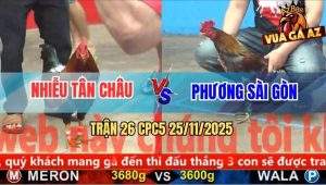 Trận 26 CPC5 25/11/2025 - Anh Nhiễu Thắng 3 Trận Liên Tiếp Lụm Giải C5