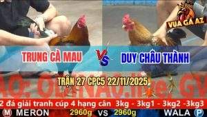 Trận 27 CPC5 22/11/2025 - Cú Kêu Điều Tử Ngay Trong Tay Nước Đầu Tiên