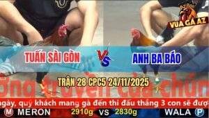 Trận 28 CPC5 24/11/2025 - Điều Xanh Có Chân Xạo Lờ Tiễn Đỏ Về Trời