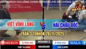 Trận 3 TonHon 28/11/2025 - Chú Khanh Thả Gà Cú Bị Điều Bú Chạy Lê Lết