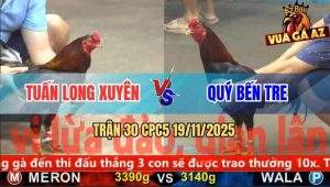 Trận 30 CPC5 19/11/2025 - Điều Đỏ Xuyên Thủng Tim Xanh Tắt Thở Tại Chỗ