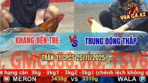 Trận 31 CPC5 25/11/2025 - Anh Khang Bến Tre Và Anh Trung Đồng Tháp