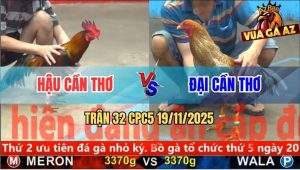 Trận 32 CPC5 19/11/2025 - Gà Cú Anh Đại Chưa Kịp Đá Điều Đã Bung Chạy
