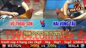 Trận 33 CPC5 20/11/2025 - Gà Anh Vũ Nhập Cựa, Đối Phương Nhập Thổ