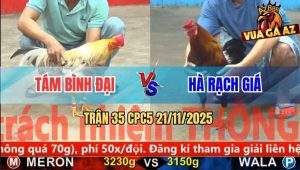 Trận 35 CPC5 21/11/2025 - Bướm Anh Tám Ra Chân Hiểm Lấy Mạng Gà Điều