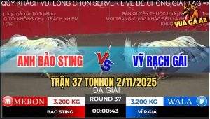 Trận 37 TonHon 2/11/2025 - Anh Bảo Sting Gặp Anh Vỹ Rạch Giá