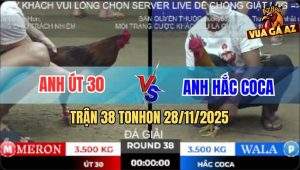 Trận 38 TonHon 28/11/2025 - Anh Út Campuchia Gặp Anh Hắc Co Ca