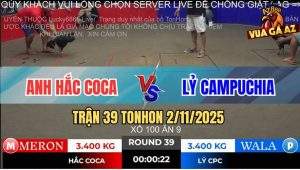 Trận 39 TonHon 2/11/2025 - Gà Xám Anh Lỷ Campuchia 3 Đá Có Kết Quả
