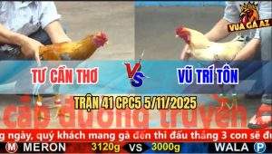Trận 41 CPC5 5/11/2025 - Anh Tư Cần Thơ Và Anh Vũ Trí Tôn