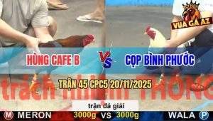 Trận 45 CPC5 20/11/2025 - Chung Kết 1: Anh Hùng Và Anh Cọp Bình Phước