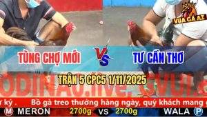 Trận 5 CPC5 1/11/2025 - Anh Tùng Chợ Mới Và Anh Tư Cần Thơ