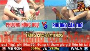 Trận 5 CPC5 23/11/2025 - Xám Cú Có Chân Phản 5 Lai Đưa Biện Ra Đảo
