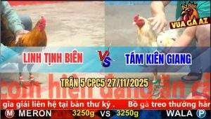 Trận 5 CPC5 27/11/2025 - Gà Khét Anh Linh Đá Cây Lưng Lụm Tiền Gà Bướm