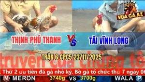 Trận 6 CPC5 23/11/2025 - Gà Bướm Anh Tài Quá Trâu Gà Cú Bắt Không Nổi