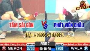 Trận 7 CPC6 3/11/2025 - Gà Que Anh Phát Tự Giận Sau 3 Tay Nước