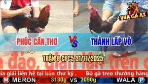 Trận 8 CPC5 21/11/2025 - Gà Điều Anh Phúc Đá Chân Hiểm Gà Que Tắt Thở