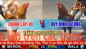 Trận 8 CPC5 3/11/2025 - Anh Thanh Lấp Vò Và Anh Duy Bình Dương