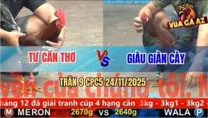Trận 9 CPC5 24/11/2025 - Điều Mồng Lá Anh Tư Đâm Đối Thủ Chạy Chết