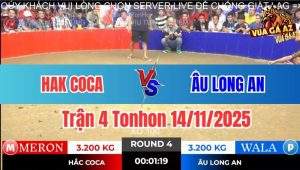Trận 4 Tonhon 14/11/2025