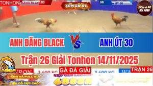 Trận 26 Giải Tonhon 14/11/2025