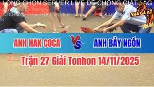 Trận 27 Giải Tonhon 14/11/2025