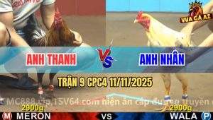 Trận 9 CPC4 11/11/2025