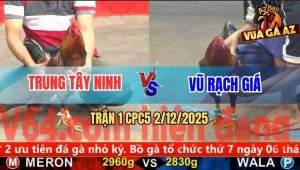 Trận 1 CPC5 3/12/2025 - Gà Vàng Anh Trung Mở Bát Đâm Que Ói Mau
