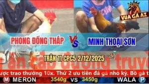 Trận 11 CPC5 2/12/2025 - Điều Anh Minh Đá Một Chân Bướm Nằm Giãy Chết