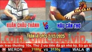 Trận 14 CPC5 3/12/2025 - Điều Chân Xanh Anh Hậu Đâm Cựa Như Phát Xít