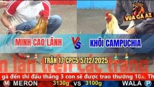 Trận 17 CPC5 5/12/2025 - Vô Kính Xám Cú Đá Cây Cần Bướm Té Cắm Đầu