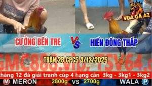Trận 28 CPC5 4/12/2025 - Que Chân Chì Đâm Điều Chân Xanh Tai Biến