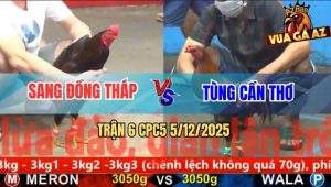 Trận 6 CPC5 5/12/2025 - Gà Điều Anh Sang Đâm Cây Lưng Que Chạy Mất Dép