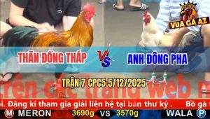 Trận 7 CPC5 5/12/2025 - Gà Điều Có Chân Xạo Lờ Hạ Bướm Chân Trắng